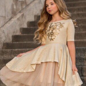 Joyfolie Roselyn Dress NWT